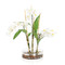 John Richard Changing Florals 3