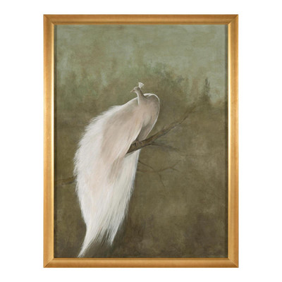 John Richard Debra Ferrari's The White Peacock