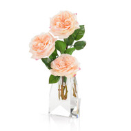 John Richard French Garden Rose