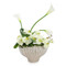 John Richard Garden Glam