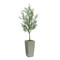 John Richard Garden Olive