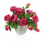 John Richard Garden Peonies