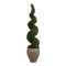 John Richard Garden Rosemary Spiral
