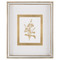 John Richard Golden Botanicals I