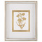 John Richard Golden Botanicals IV