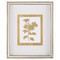 John Richard Golden Botanicals IX