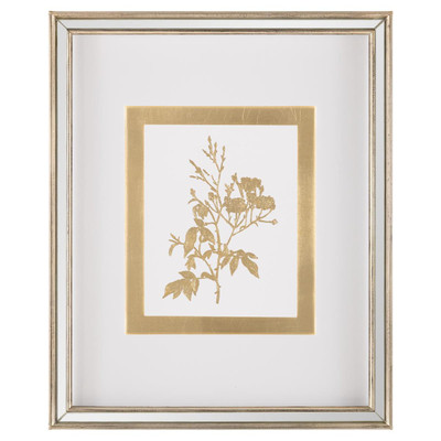 John Richard Golden Botanicals VI