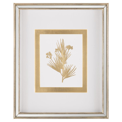 John Richard Golden Botanicals VII
