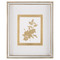 John Richard Golden Botanicals VIII