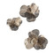John Richard Golden Camellia Wall Art - Set of 3 Bronze