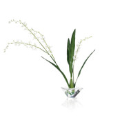 John Richard Graceful Cymbidium