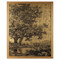 John Richard Grand Oaks Gold II