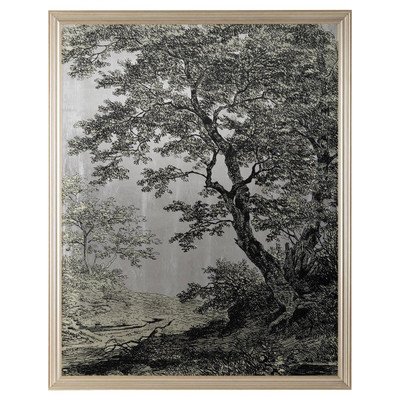 John Richard Grand Oaks Silver I