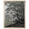 John Richard Grand Oaks Silver I