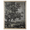 John Richard Grand Oaks Silver II