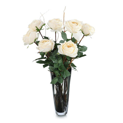 John Richard Heirloom Roses
