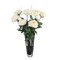 John Richard Heirloom Roses