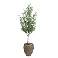 John Richard Italian Olive