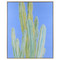 John Richard Michael Pfleghaar's Blue Myrtle Cactus No. 2