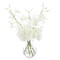 John Richard Oncidium Orchid Spray
