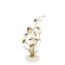 John Richard Orchids in Bloom Candleholder - Small Brass