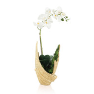 John Richard Organic Mossy Orchid