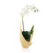 John Richard Organic Mossy Orchid