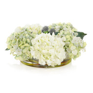 John Richard Pastel Hydrangea