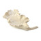 John Richard Porcelain Leaf Bowl - Small