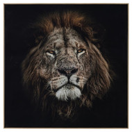 John Richard Rodney Bursiel's Mufasa
