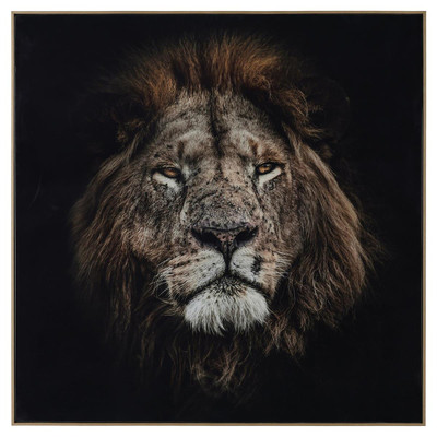 John Richard Rodney Bursiel's Mufasa