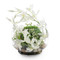 John Richard Secret Orchid Garden