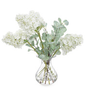 John Richard Snow Queen Hydrangeas
