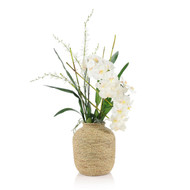 John Richard Tahitian Orchids