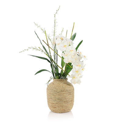 John Richard Tahitian Orchids