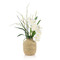 John Richard Tahitian Orchids