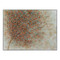 John Richard Teng Fei's Scattered to the Wind