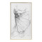John Richard Tony Fey's Fading Finery