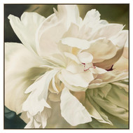 John Richard Victoria's Flower