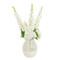 John Richard Winter White Perfection