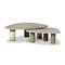 Four Hands Zion Coffee Table Set - Antique White Marble