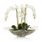 John Richard Orchid Display