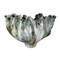 Jamie Young Beluga Ceramic Decorative Vase