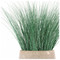 Bear Grass in Urbano Bell Fiber Clay Planter - SMALL image 1