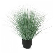 Potted Bear Grass 45"H
