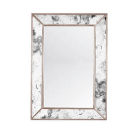 Dion Rectangular Antique Mirror With Champagne Silver Leafed Wood Edges