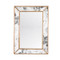 Dion Rectangular Antique Mirror With Gold Leafed Wood Edges