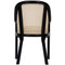 Gaston Chair https://cdn3.bigcommerce.com/s-nzzxy311bx/product_images//w/ Caning and Linen image 3