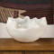 Cambrian Bowl - Ivory & Sand image 1