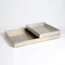 Champagne Silver Leaf Rectangle Tray - Sm image 1